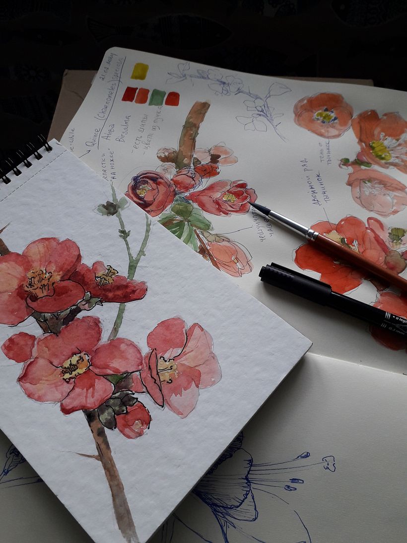 Botanical illustrations -my previous works 5