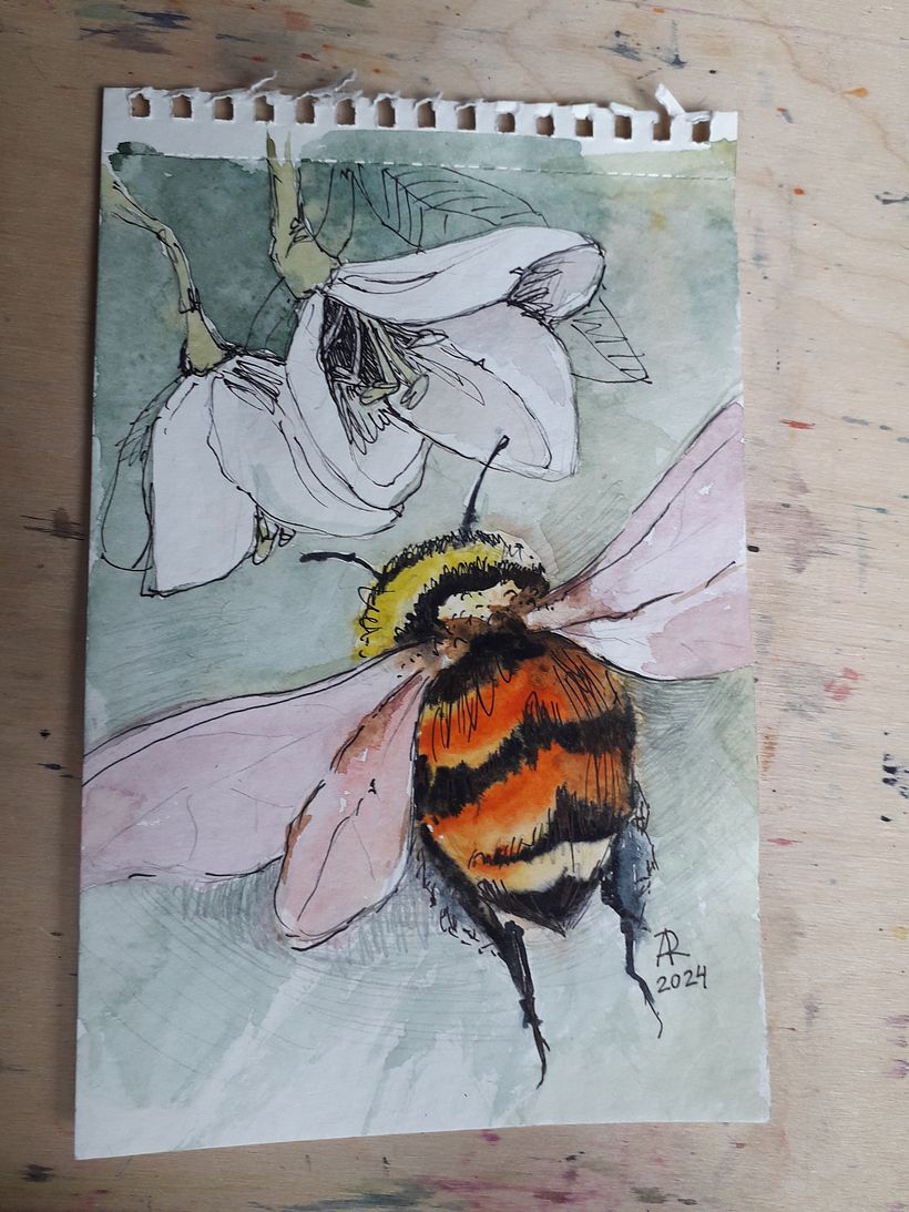 Insect collection - previous works 6