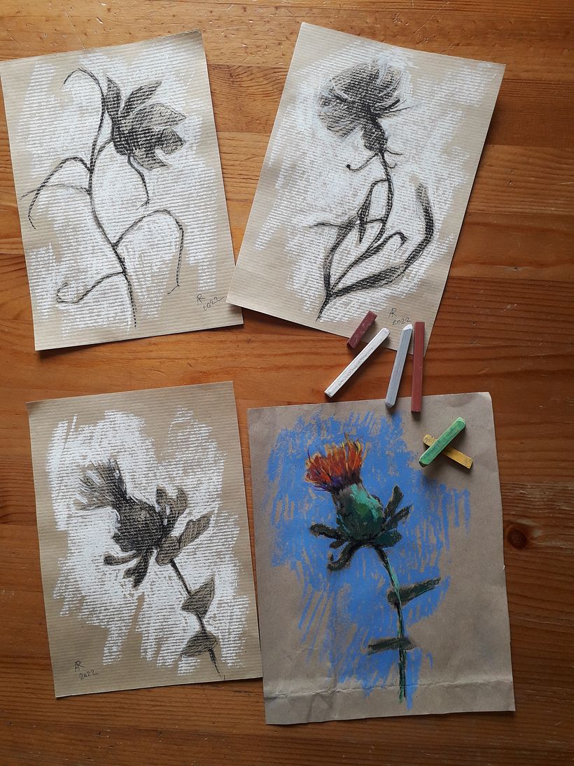 Botanical illustrations -my previous works 11