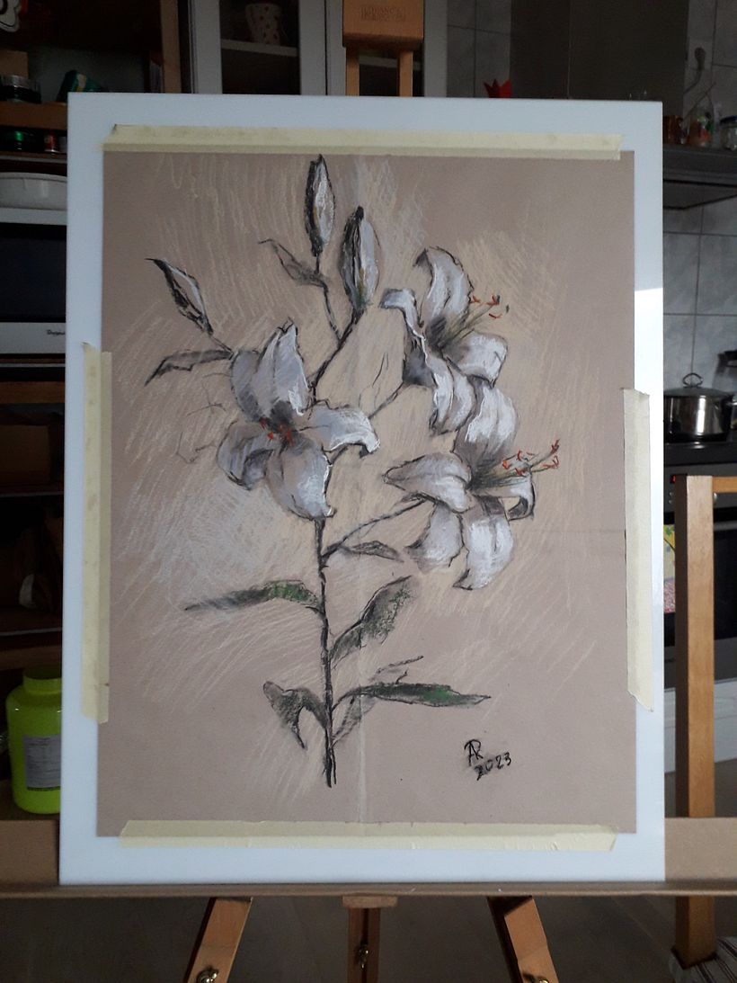 Botanical illustrations -my previous works 12