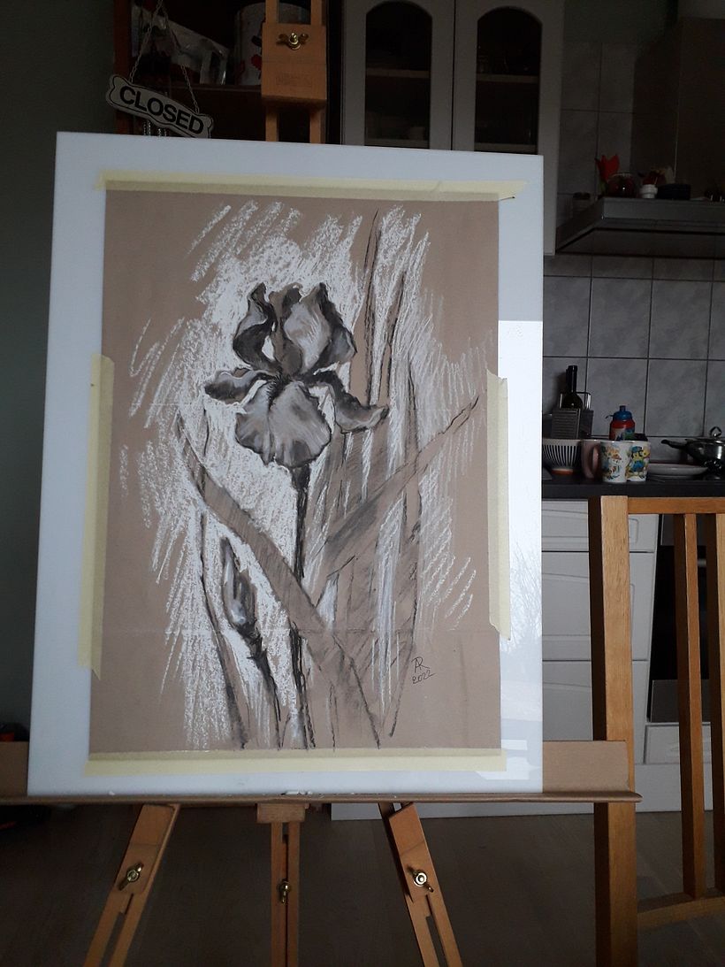 Botanical illustrations -my previous works 13