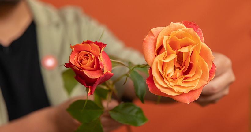 Dressage de table avec des fleurs, Daniel Ruiz