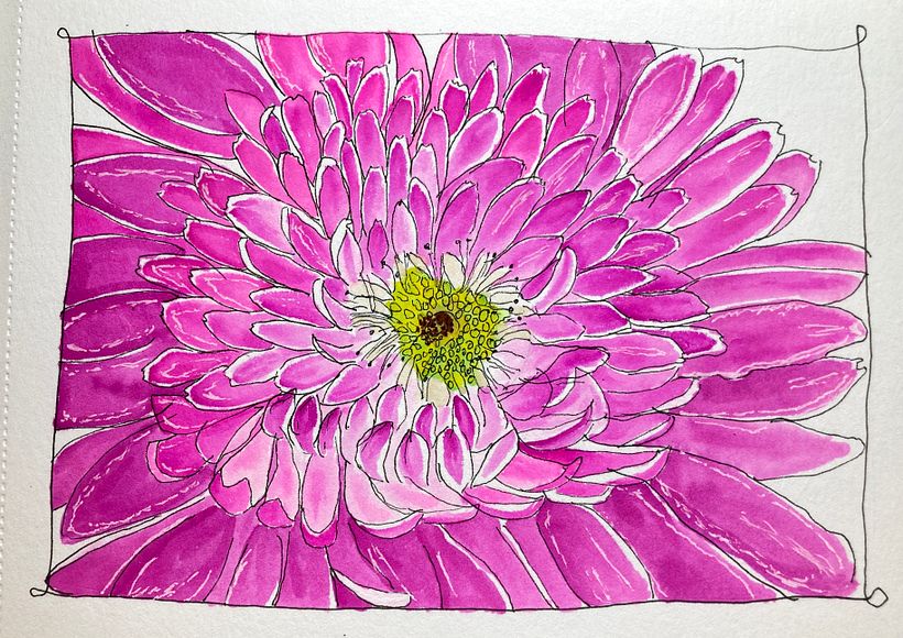 My project for course: Botanical Sketchbooking: A Meditative Approach 4
