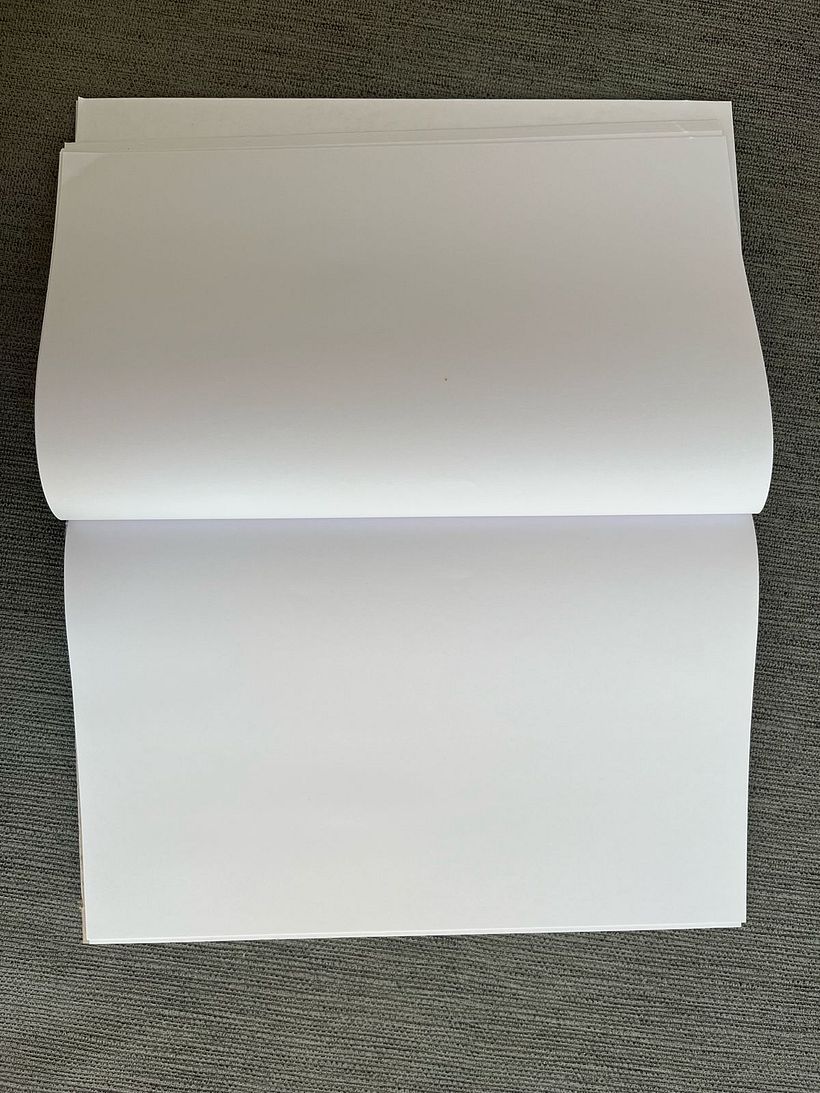 Mi proyecto del curso: Técnicas de encuadernación DIY 8