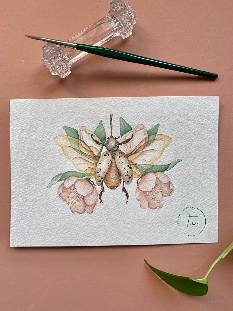 Flores & Insectos 1