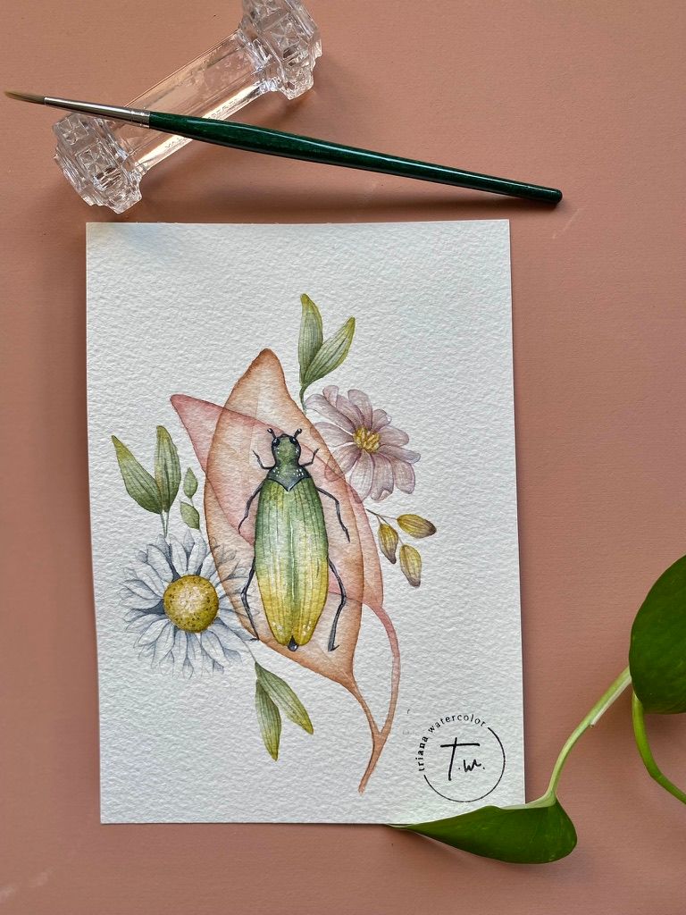 Flores & Insectos 2