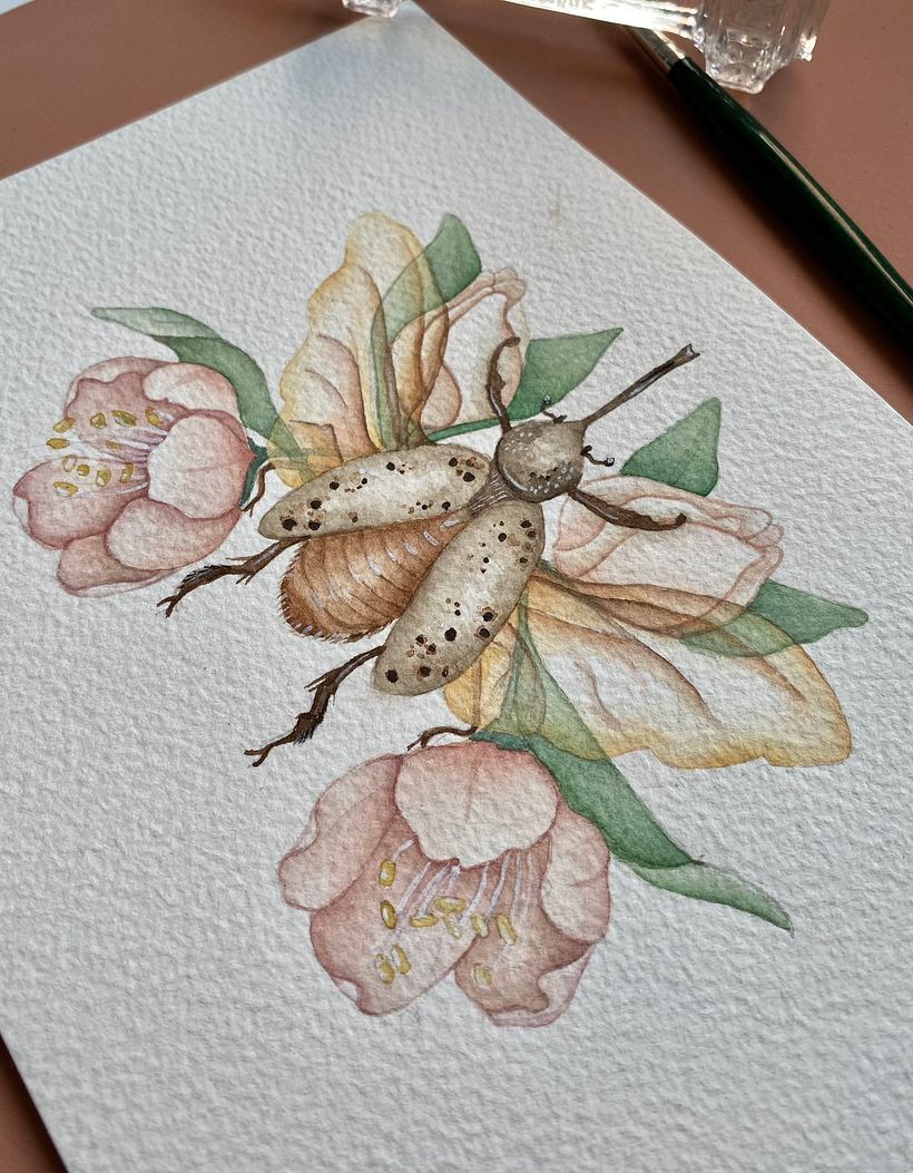 Flores & Insectos 4