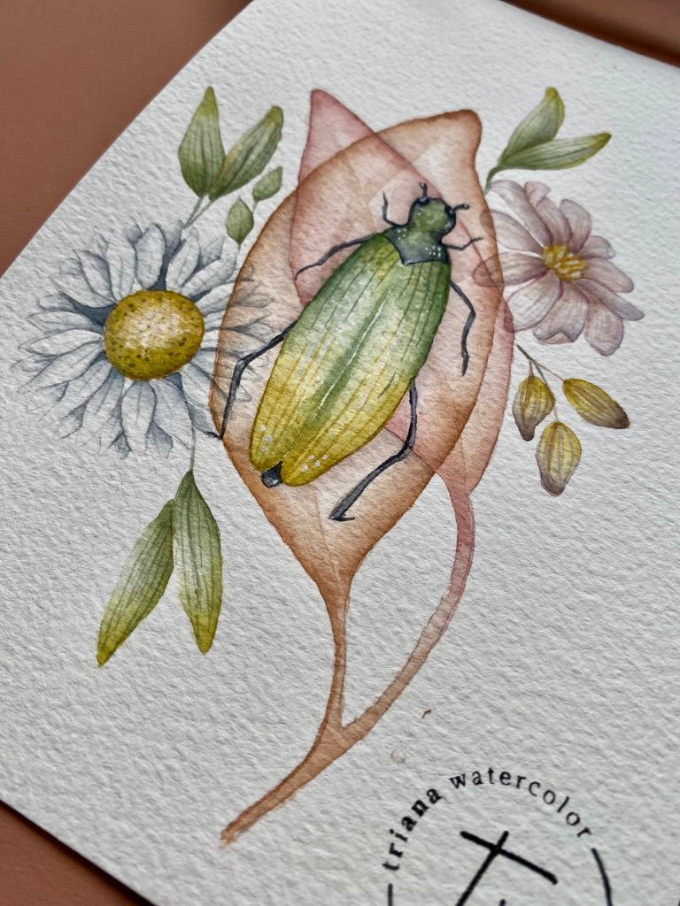 Flores & Insectos 6
