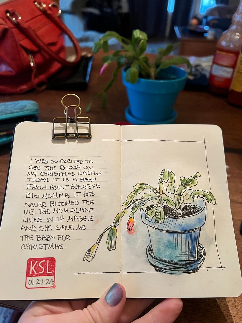 Plants!