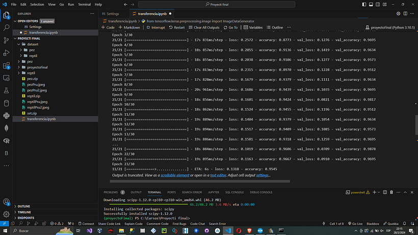 Mi proyecto del curso: Introducción a la IA con Python 9