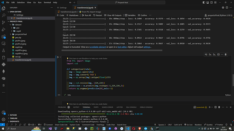 Mi proyecto del curso: Introducción a la IA con Python 10