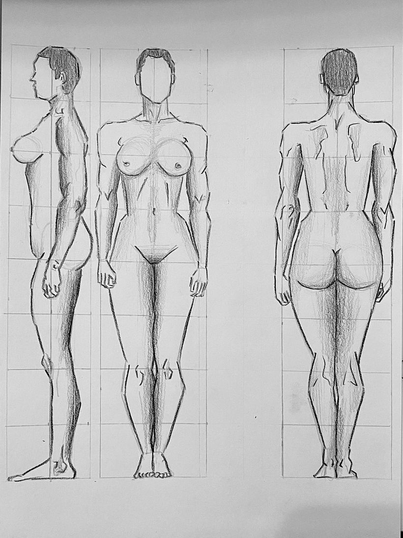 DA- Anatomia proporción  2