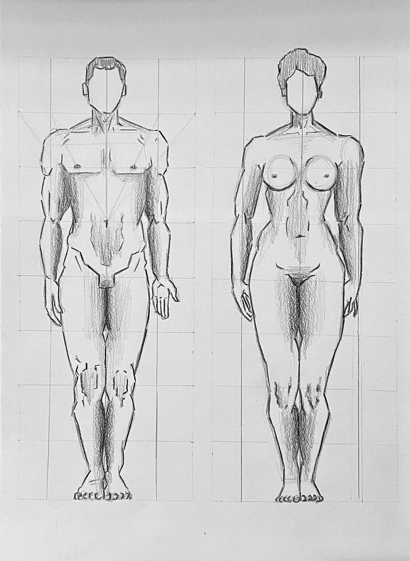 DA- Anatomia proporción  1