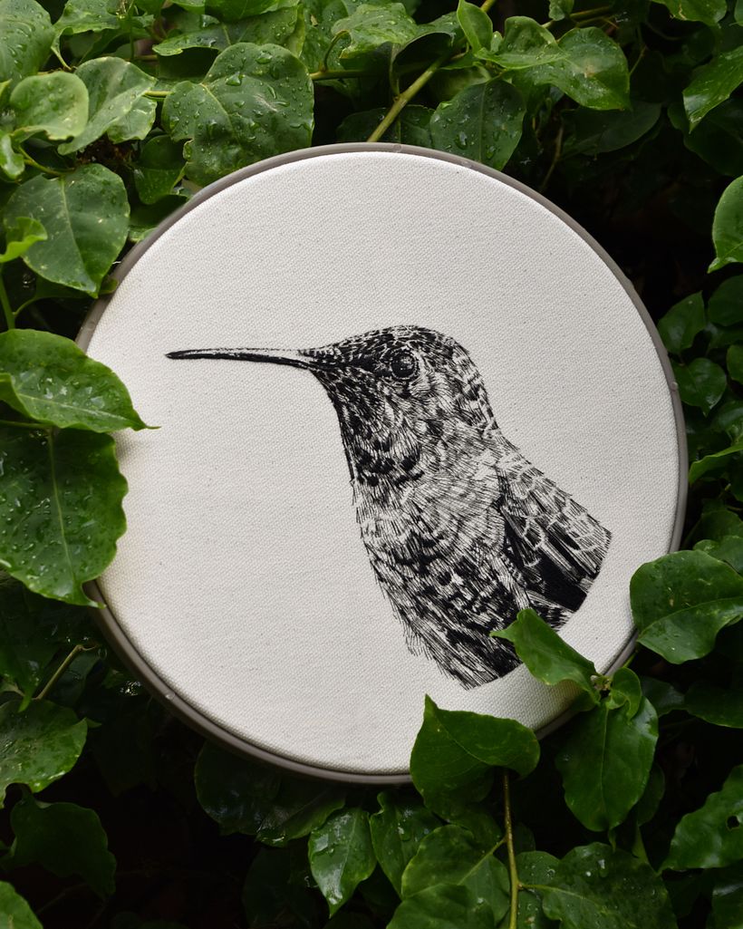 COLIBRÍ · DIBUJO CON HILO NEGRO 2