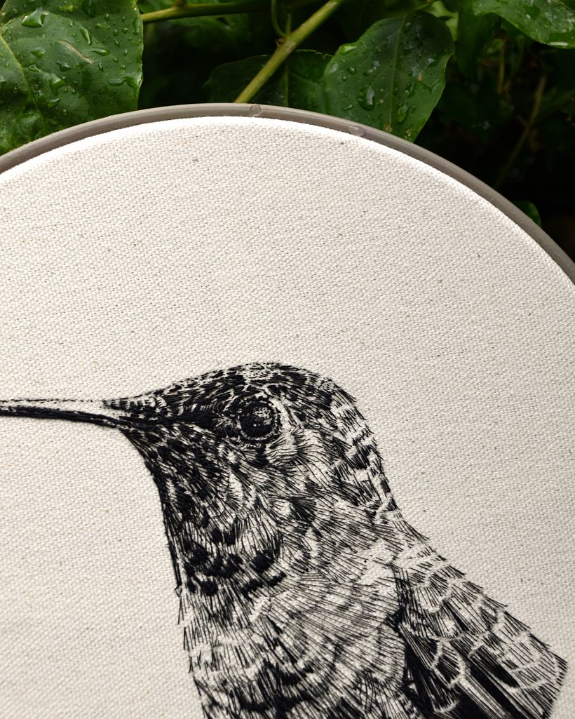COLIBRÍ · DIBUJO CON HILO NEGRO 3