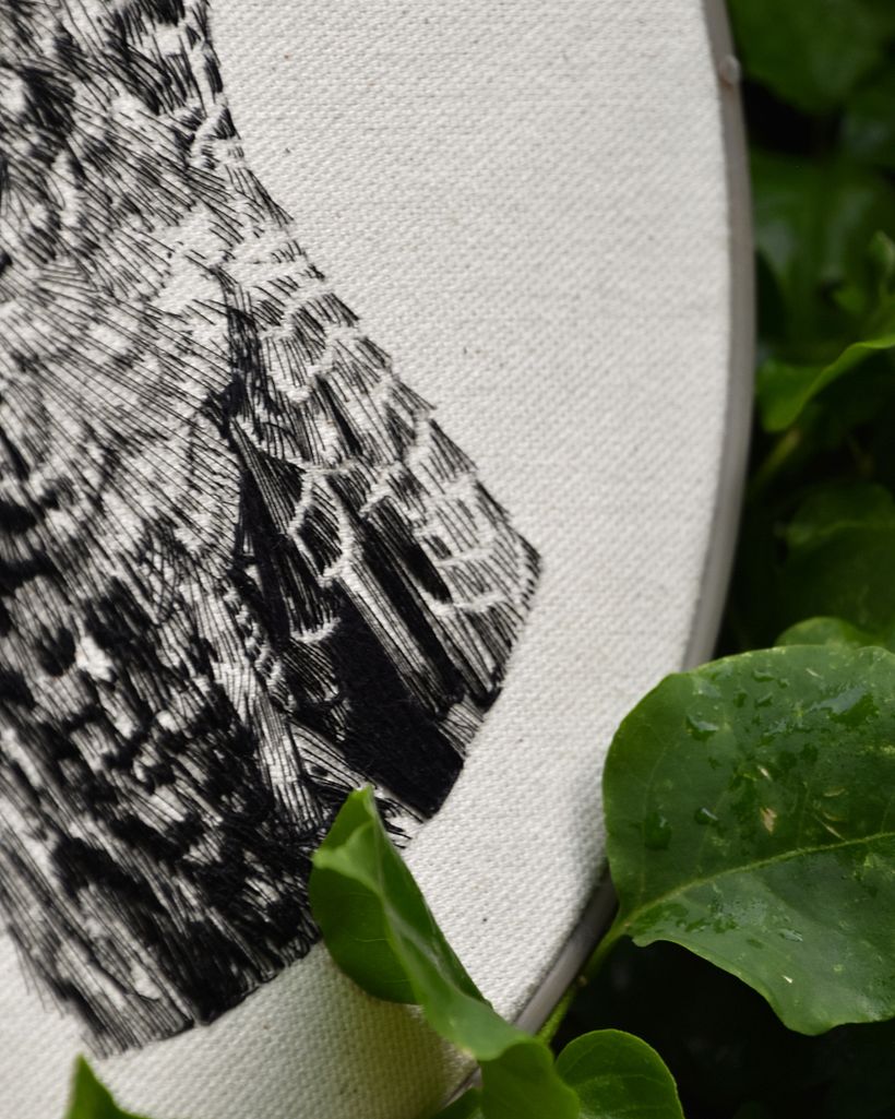 COLIBRÍ · DIBUJO CON HILO NEGRO 4