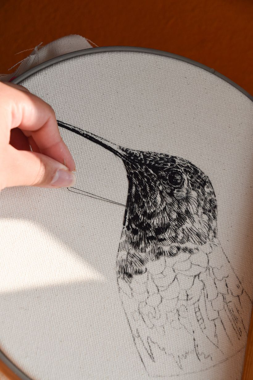 COLIBRÍ · DIBUJO CON HILO NEGRO 5