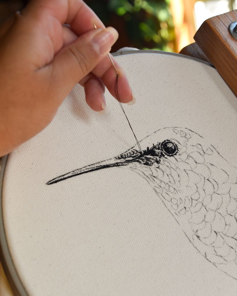 COLIBRÍ · DIBUJO CON HILO NEGRO 6