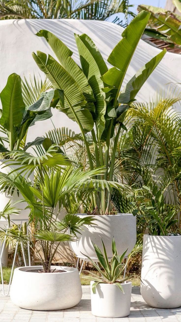 Referência para meu Jardim na Laje