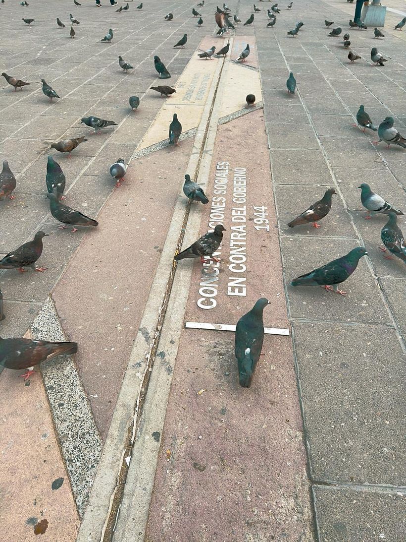 Fotografía en la ciudad  7