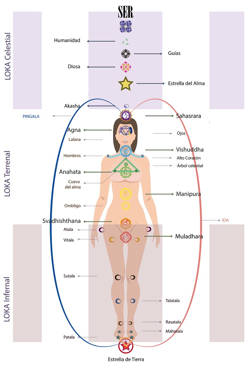 Mapa de chakras- Infografía 4