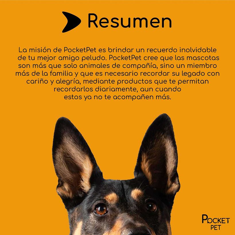 PetPocket 2