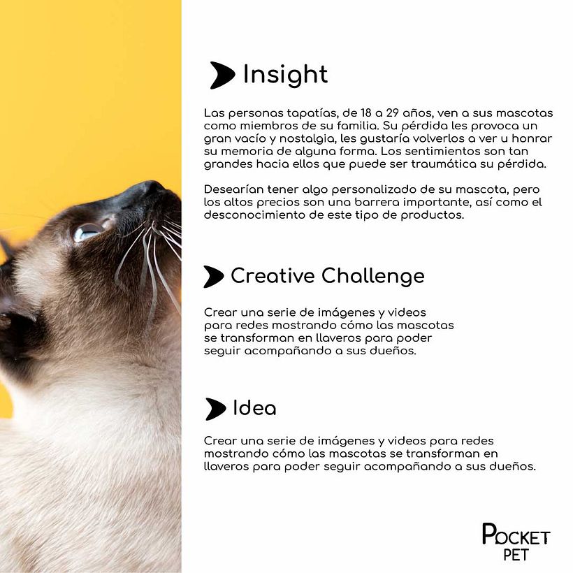 PetPocket 6