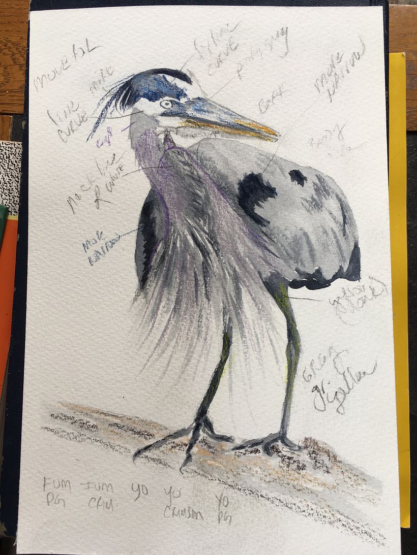 The colored pencils helped me visualize it with color