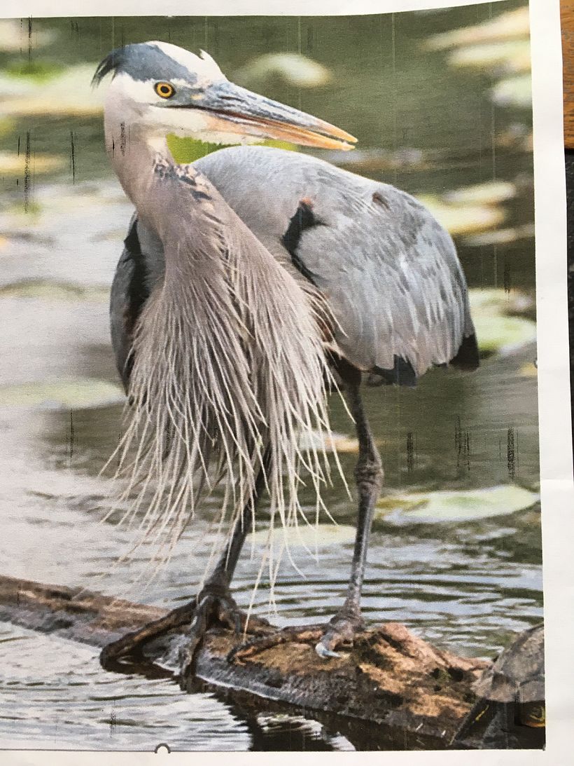 Reference Photo from Unsplashed - Steve Smith