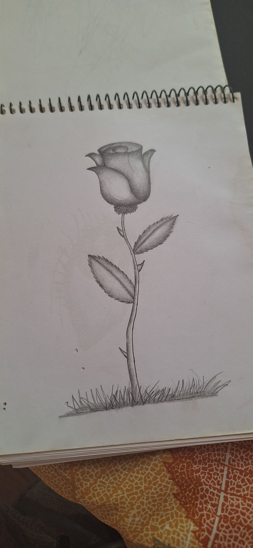 Aprendiendo a usar sombras...