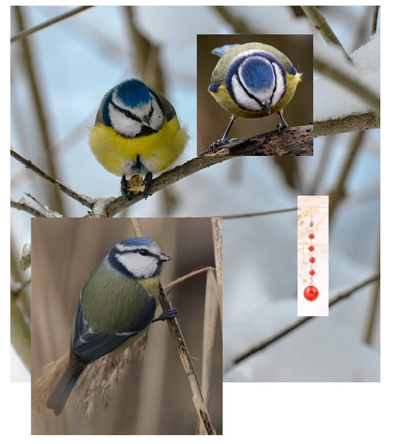 Reference photos arranged with the composition I choose