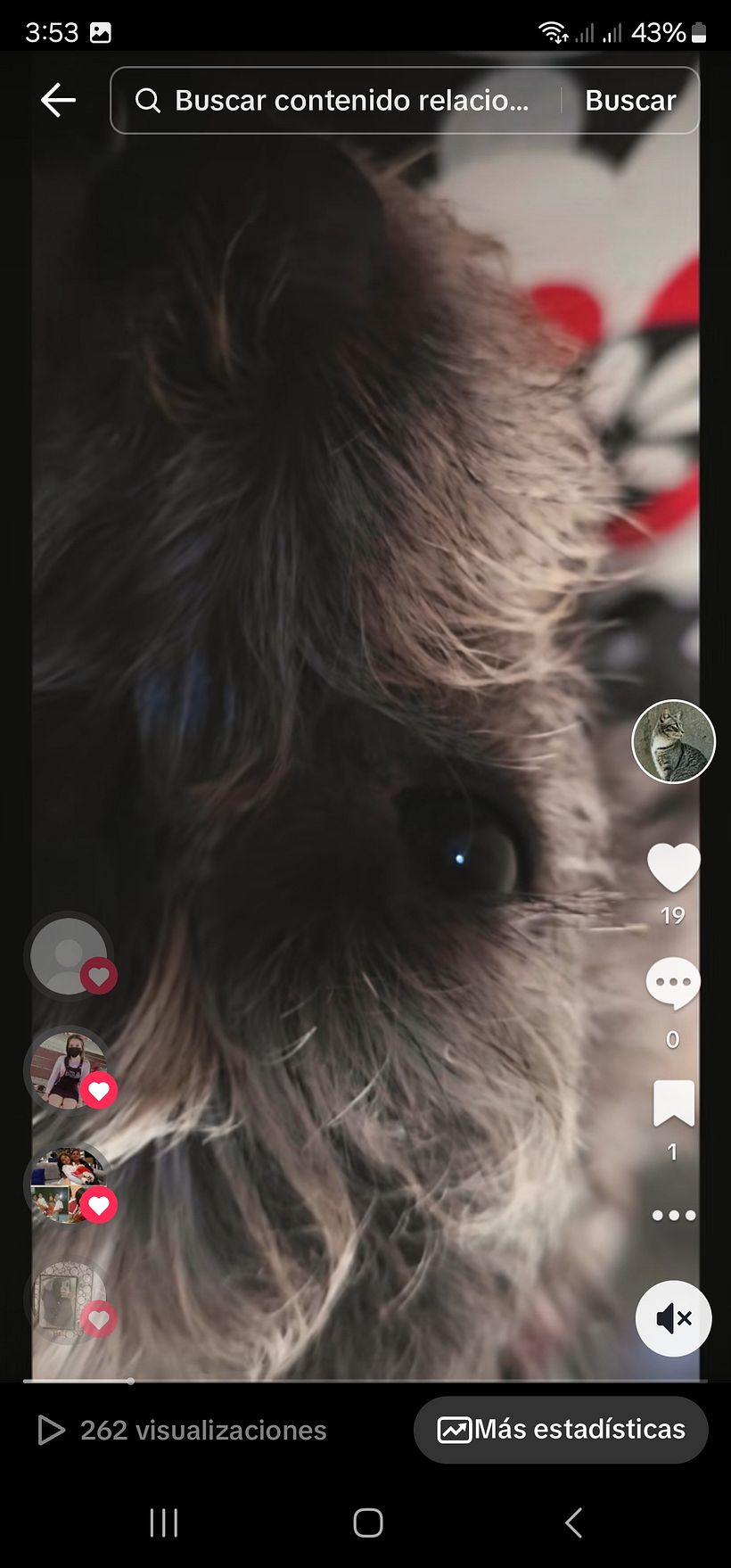 https://vm.tiktok.com/ZMMYD5QgB/