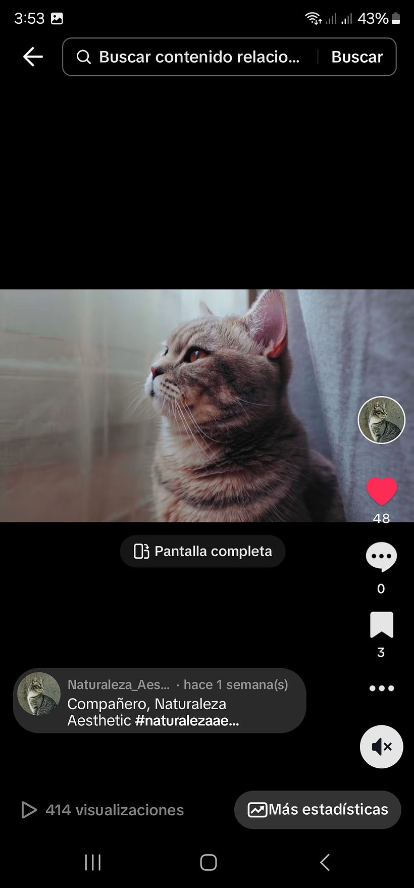 https://vm.tiktok.com/ZMMYDtPW3/