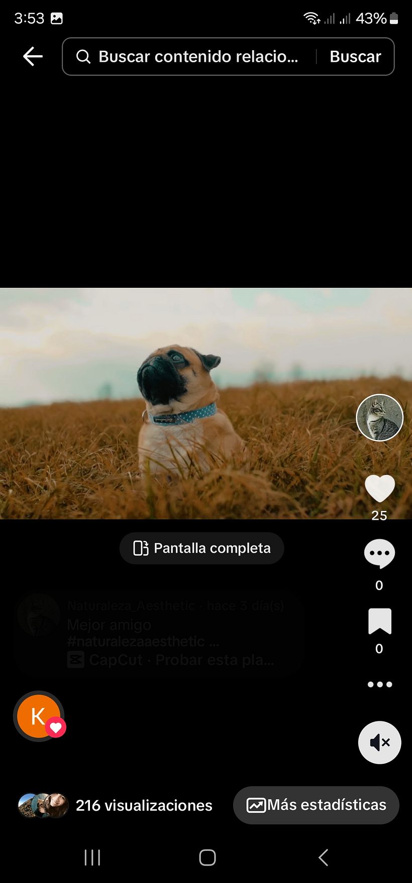 https://vm.tiktok.com/ZMMYDtcsq/