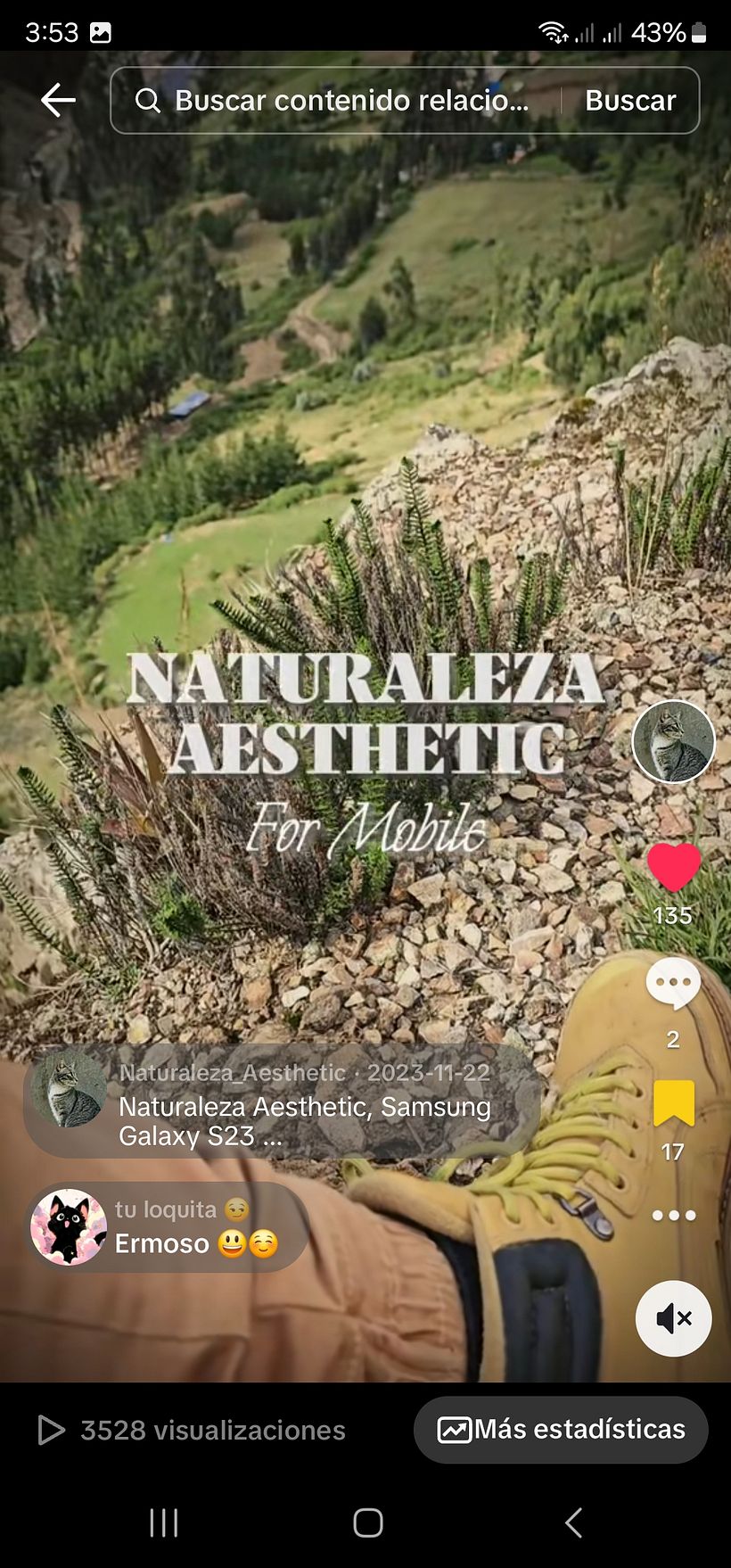 https://vm.tiktok.com/ZMMYDVMYs/