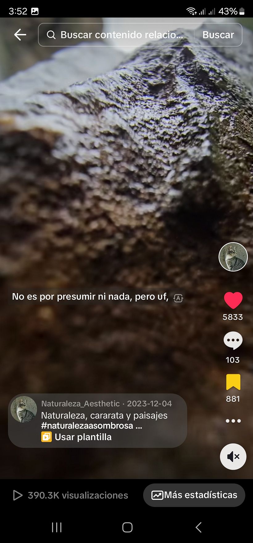 https://vm.tiktok.com/ZMMYDWGMC/