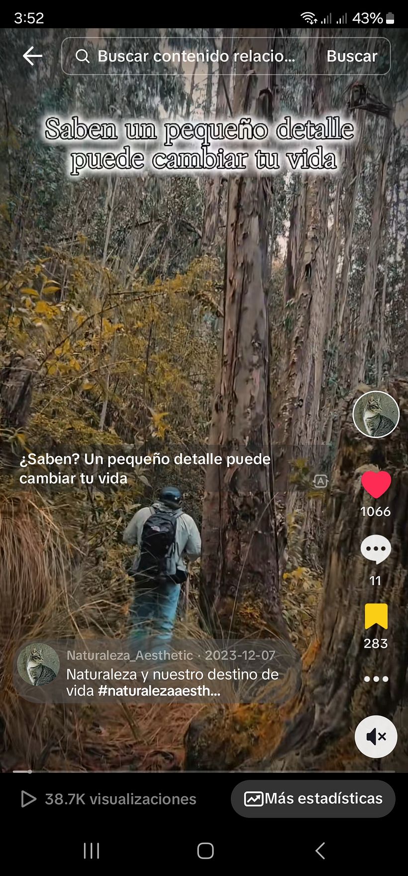 https://vm.tiktok.com/ZMMYD7tuk/