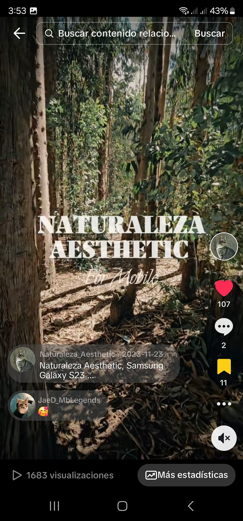 https://vm.tiktok.com/ZMMYDQ7c4/