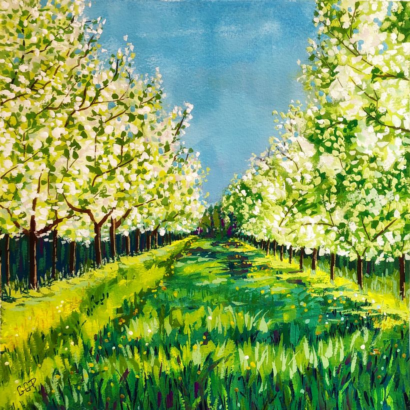 Cherry orchard in bloom - Door County, WI