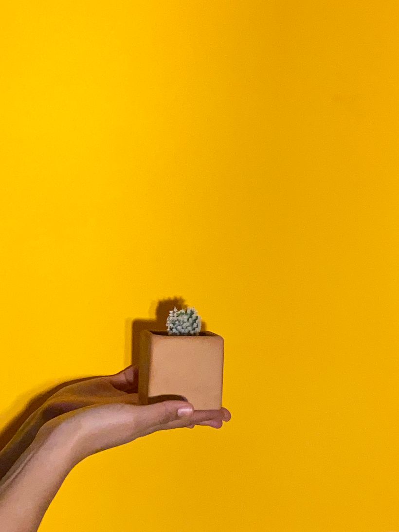 Mi proyecto del curso: Fotografía y vídeo profesional con tu móvil 4