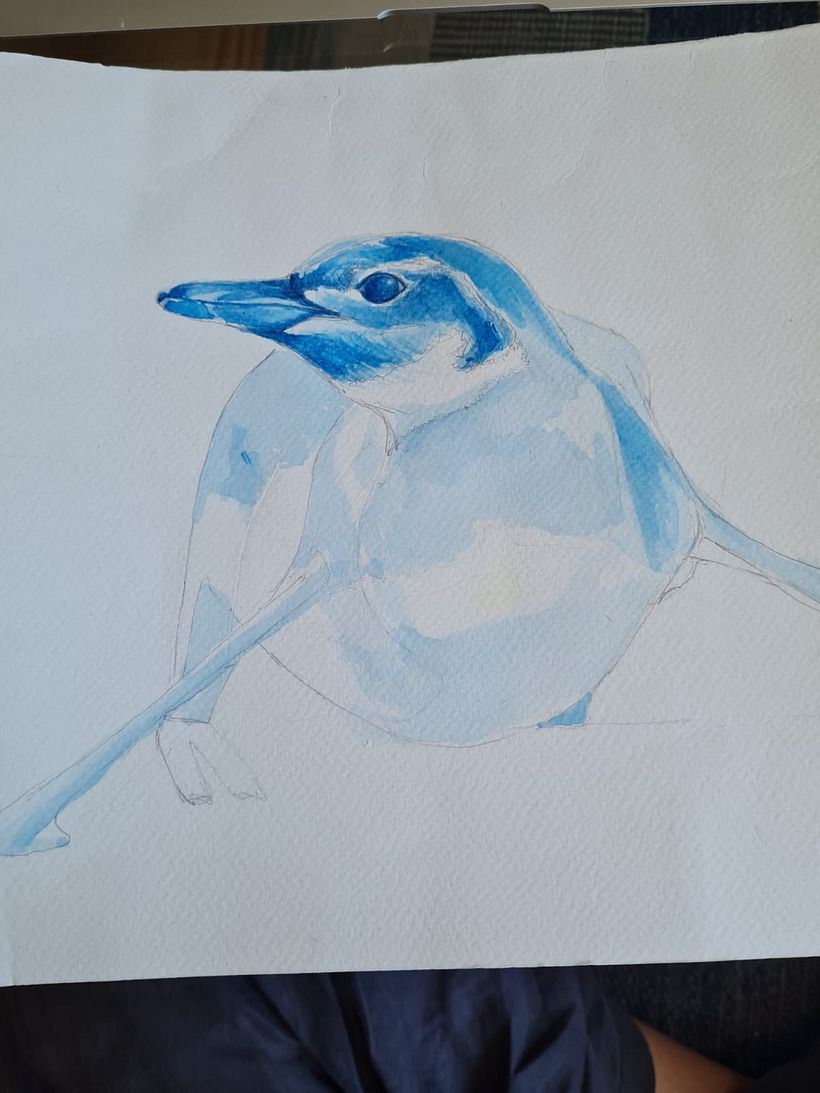 Un pingüino de Caldera 3