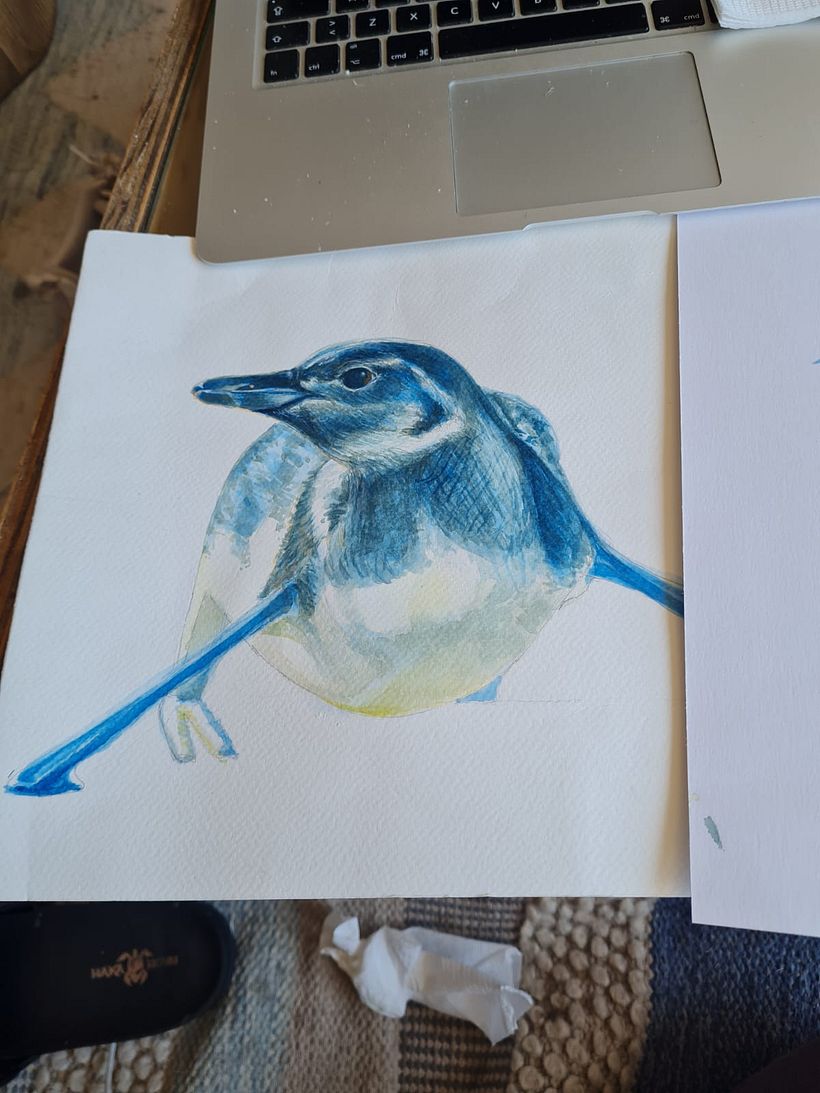 Un pingüino de Caldera 5