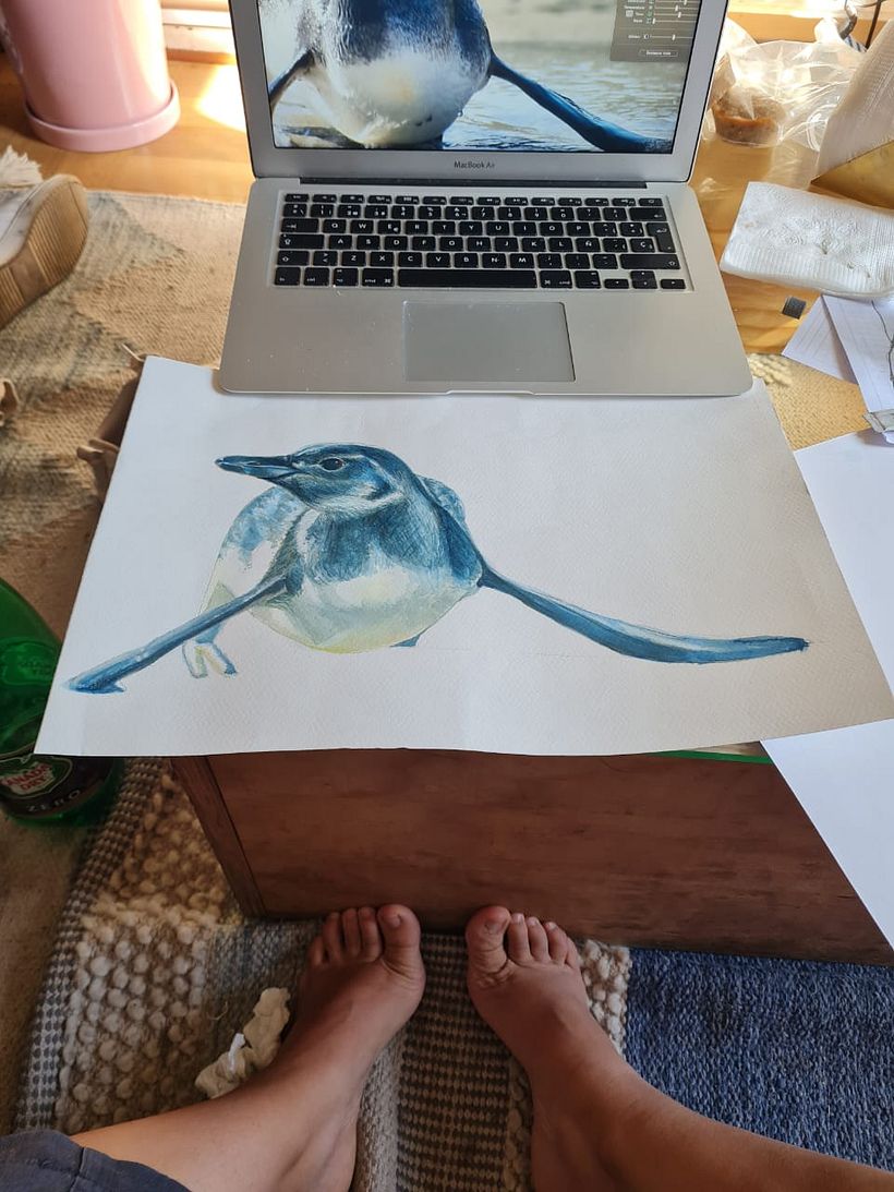 Un pingüino de Caldera 6