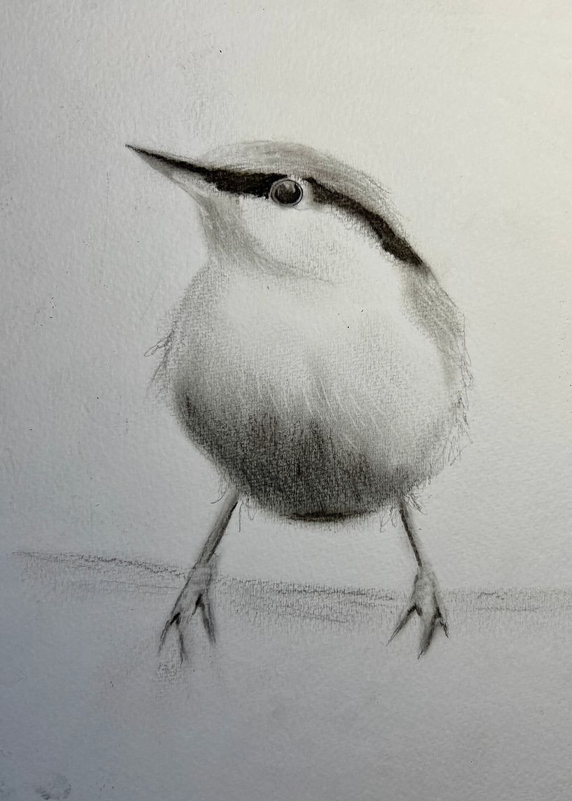 My project for course: Artistic Watercolor Techniques for Illustrating Birds 1
