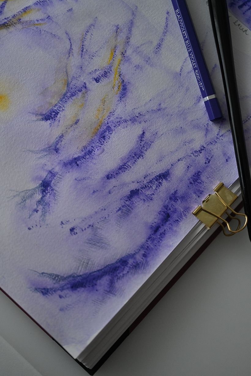I am amazed by the textures created with a mix of semi-wet watercolour pencils. 