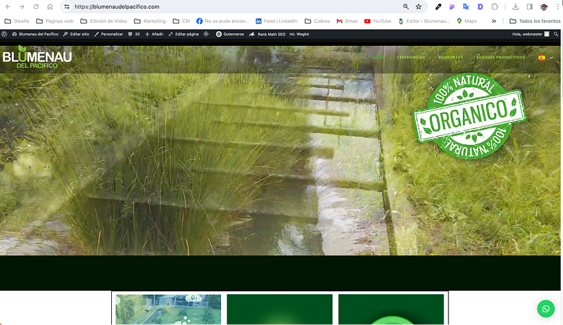 Mi proyecto del curso: WordPress: crea una web profesional desde cero 2