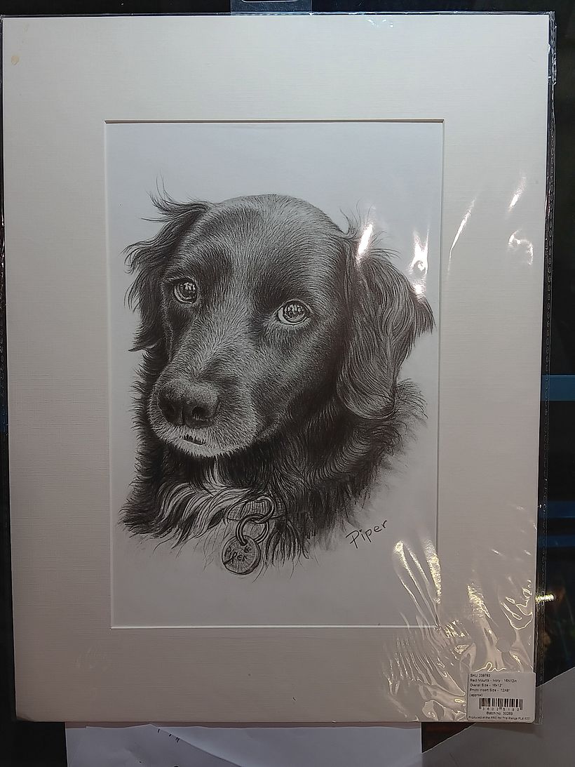 Dog Portrait with matt graphite on hot pressed water colour paper 2