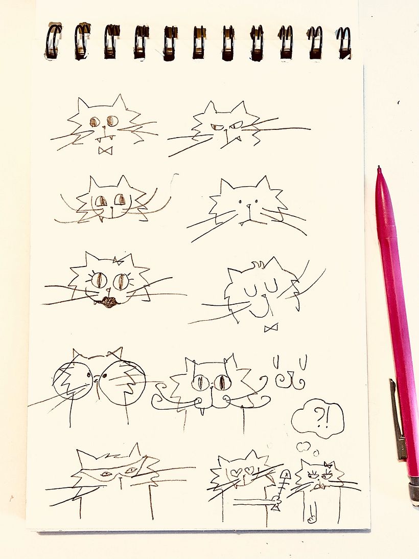 Mrou le chat (ma mascotte)