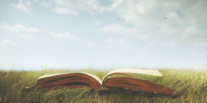 The World of Imagery in Literature 7