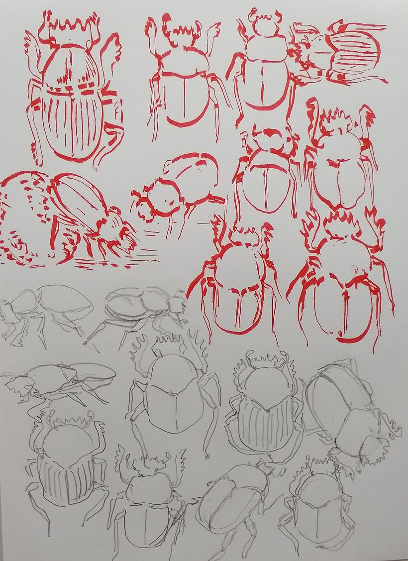 Scarab practice drawings